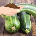 Italian Striped Zucchini Summer Squash Garden Seeds - 5 Lbs Bulk - Non-GMO, Heirloom - Vegetable Gardening Seed   566864451